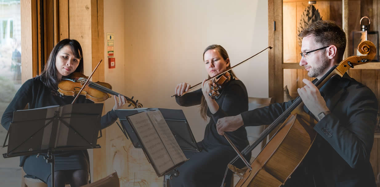 What’s the difference between a String Quartet and a String Trio?