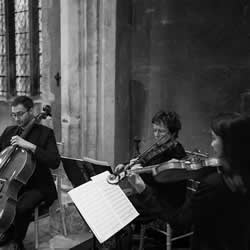 Scintillo String Trio - Suffolk, Norfolk and Essex
