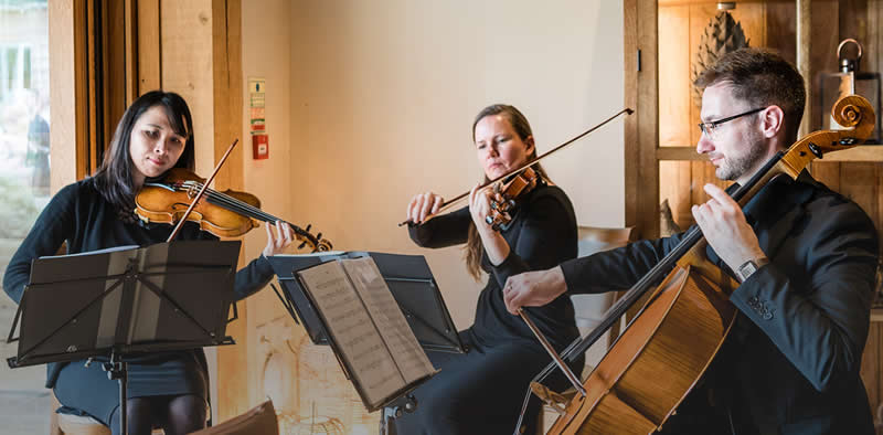 String Quartet vs. String Trio?